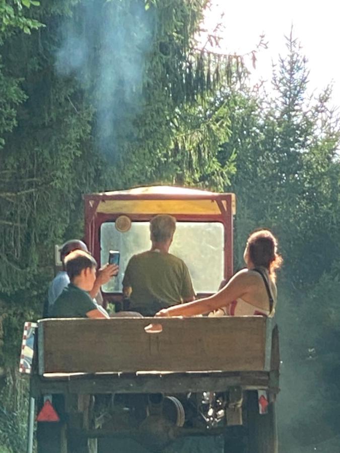 Kellerstoeckl Am Veganen Bio-Lebenshof "Varm - Die Vegane Farm" Sulb Bagian luar foto