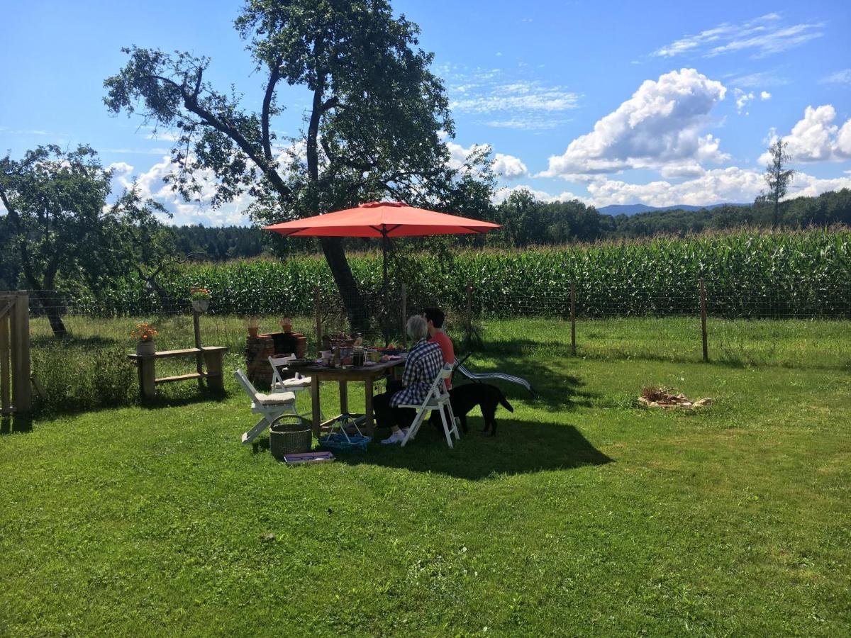 Kellerstoeckl Am Veganen Bio-Lebenshof "Varm - Die Vegane Farm" Sulb Bagian luar foto